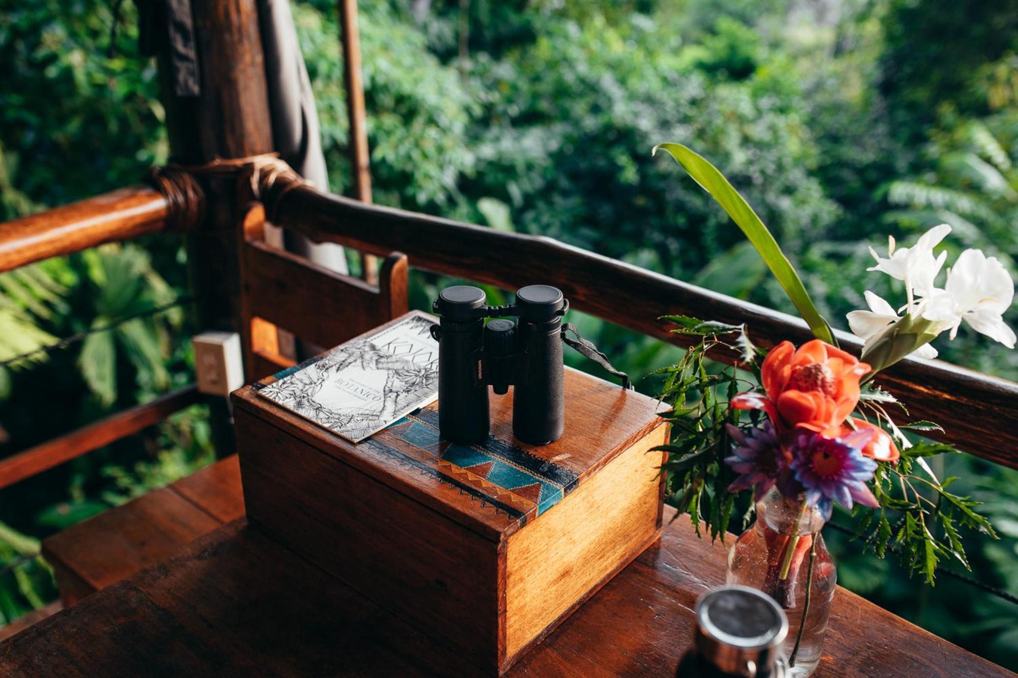 La Loma Jungle Lodge And Chocolate Farm Bocas del Toro Zewnętrze zdjęcie